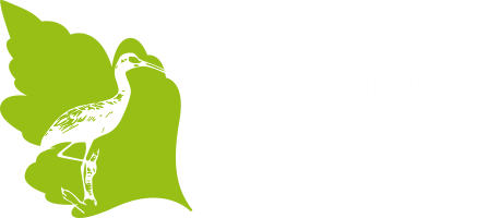 TO Pećinci