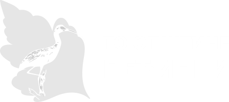 TO Pećinci